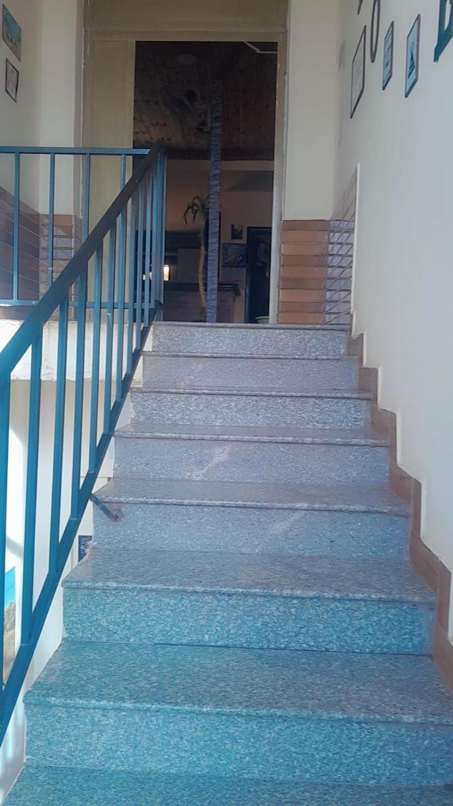 Petra Cabin Hostel Wadi Musa Dış mekan fotoğraf