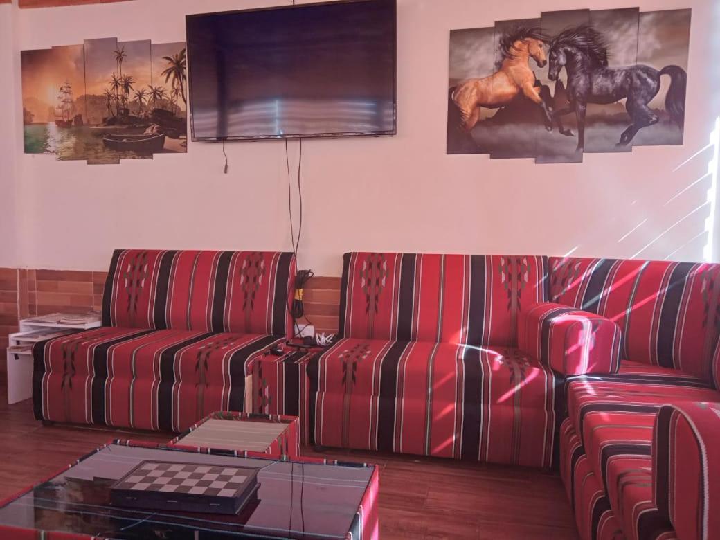 Petra Cabin Hostel Wadi Musa Dış mekan fotoğraf